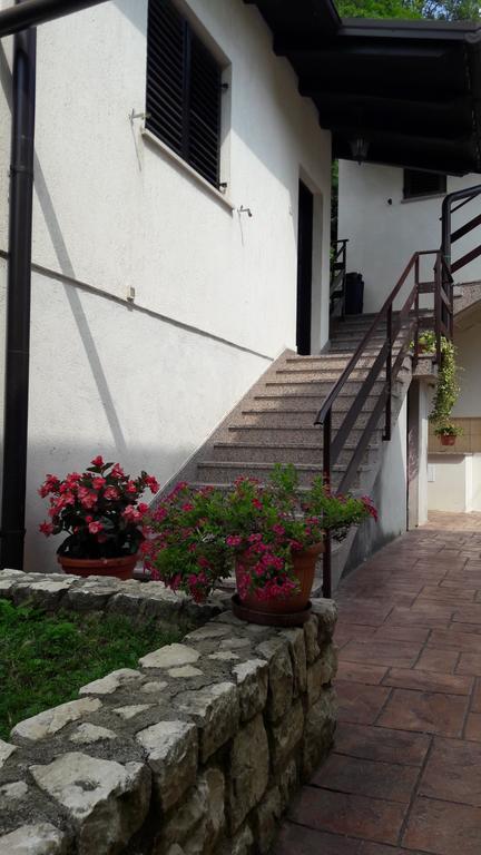 Apartman Koraca Roč Buitenkant foto